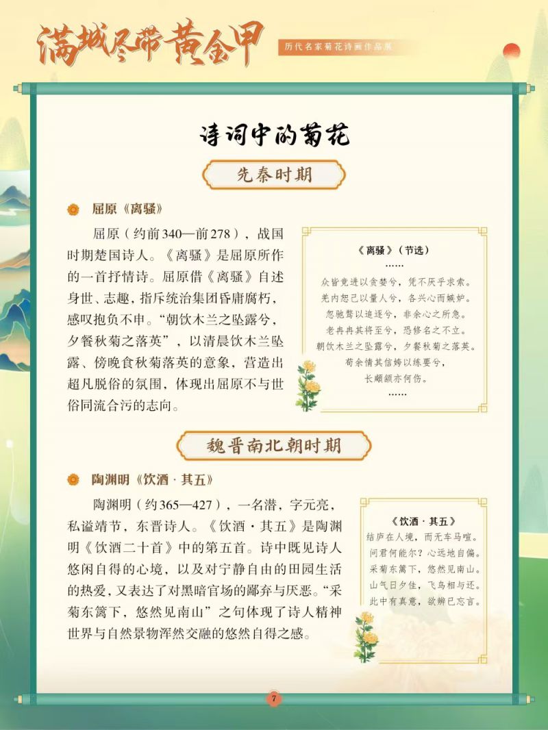 07诗词中的菊花-先秦时期、魏晋南北朝时期